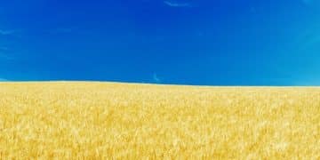 Analyzing the Impact of New Trade Agreements on US Agriculture in 2025 - Cover Image