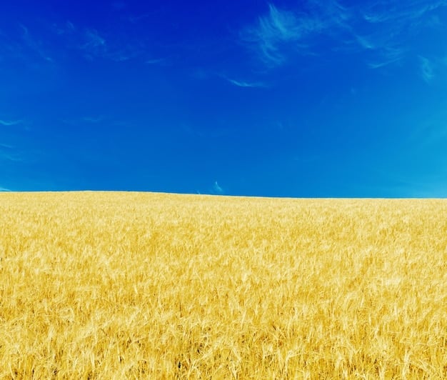 Analyzing the Impact of New Trade Agreements on US Agriculture in 2025