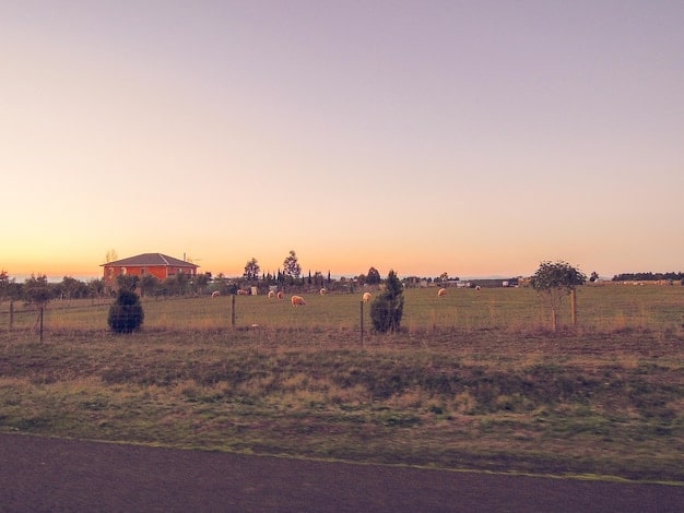 The 2025 Farm Bill: Navigating the Debate on Food Security and Rural Economies